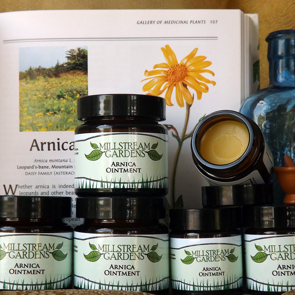 Millstream Gardens Arnica Ointment