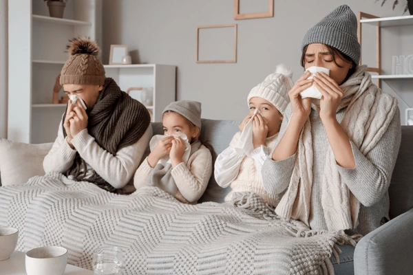 Cold & Flu