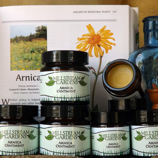 Millstream Gardens Arnica Ointment
